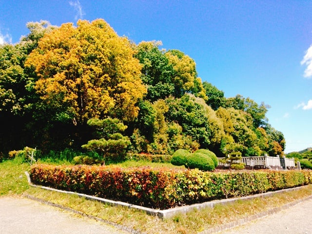 天武・持統天皇陵（明日香村）