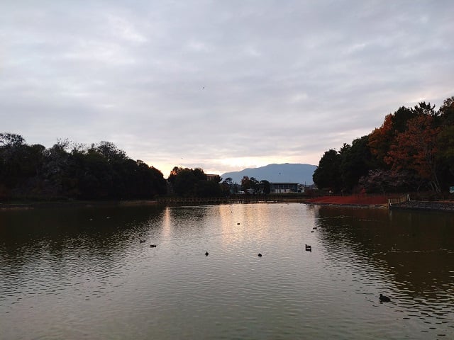橿原神宮・夕暮れ時の深田池