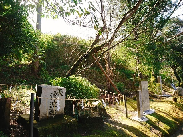 波波迦の木（天香具山神社）