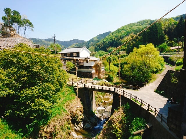 明日香村・男綱