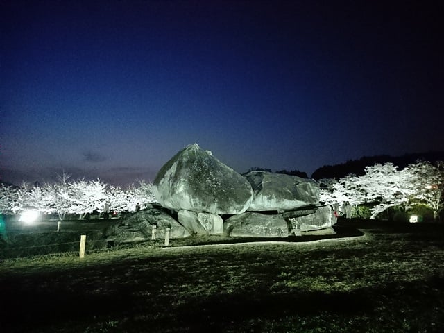 石舞台古墳・夜桜ライトアップ①