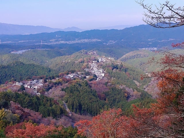 上千本・花矢倉展望台から見る紅葉