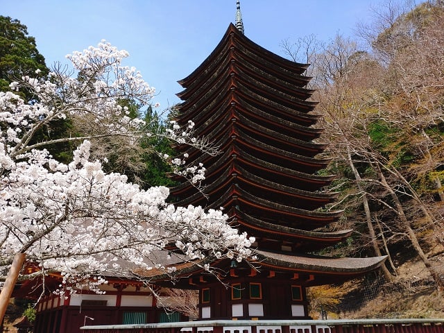談山神社・桜