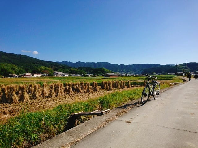 稲刈り後の明日香村の風景（2020,10）