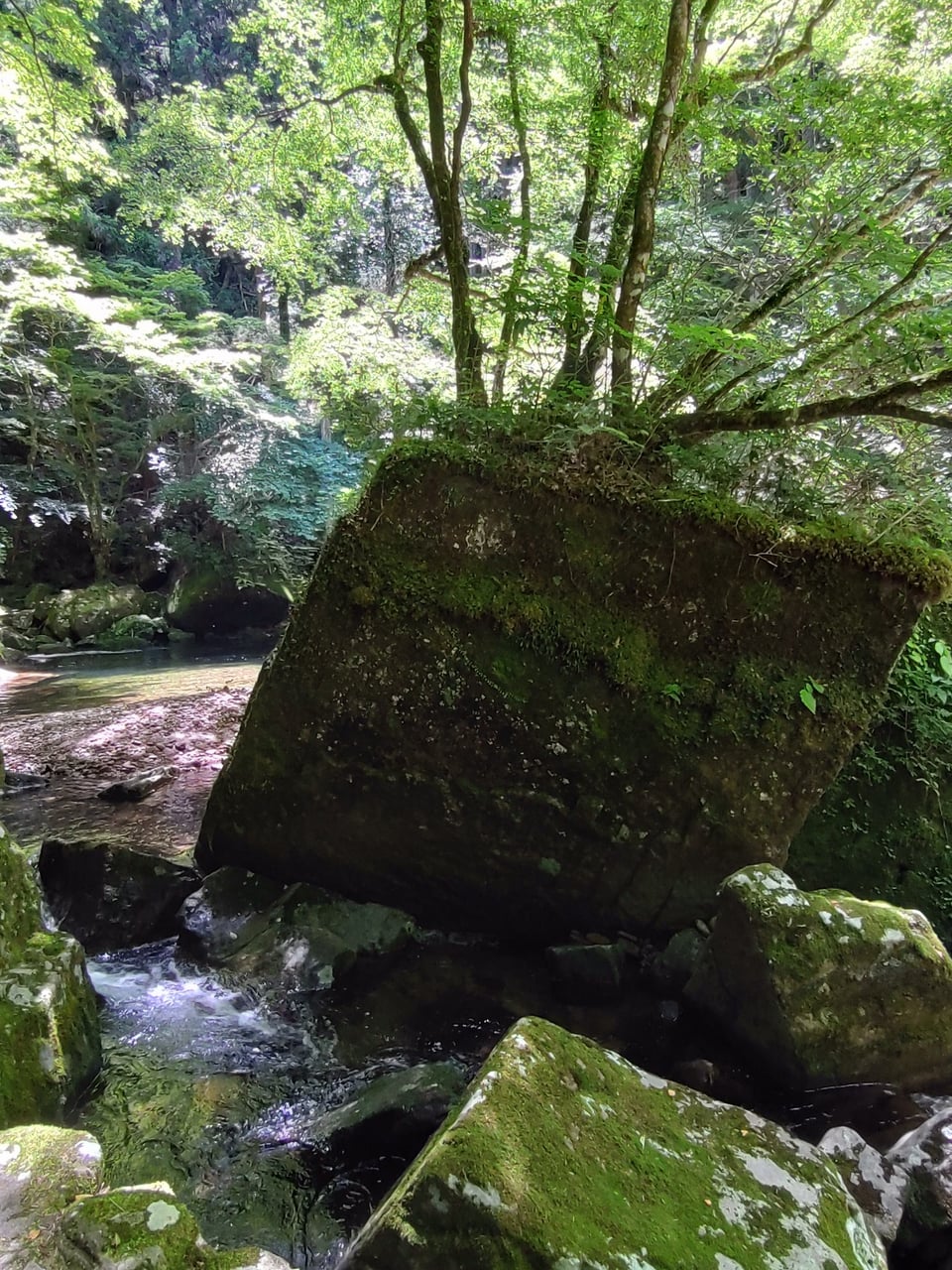 百畳岩から荷担滝までの道中にある七色岩