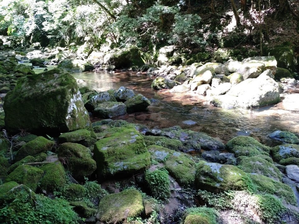 不動滝から八畳岩への道中