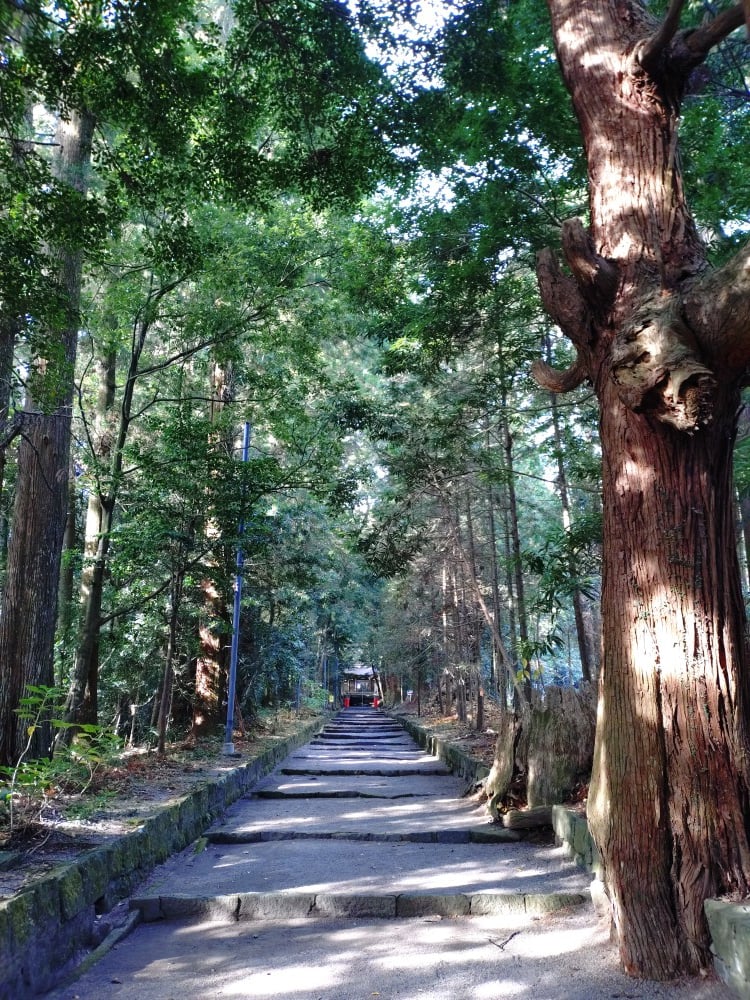 狭野神社・参道