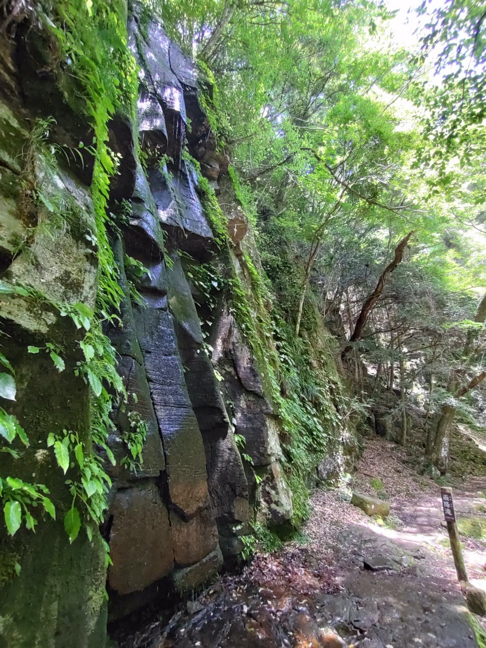 百畳岩から荷担滝までの道中にある雨降滝