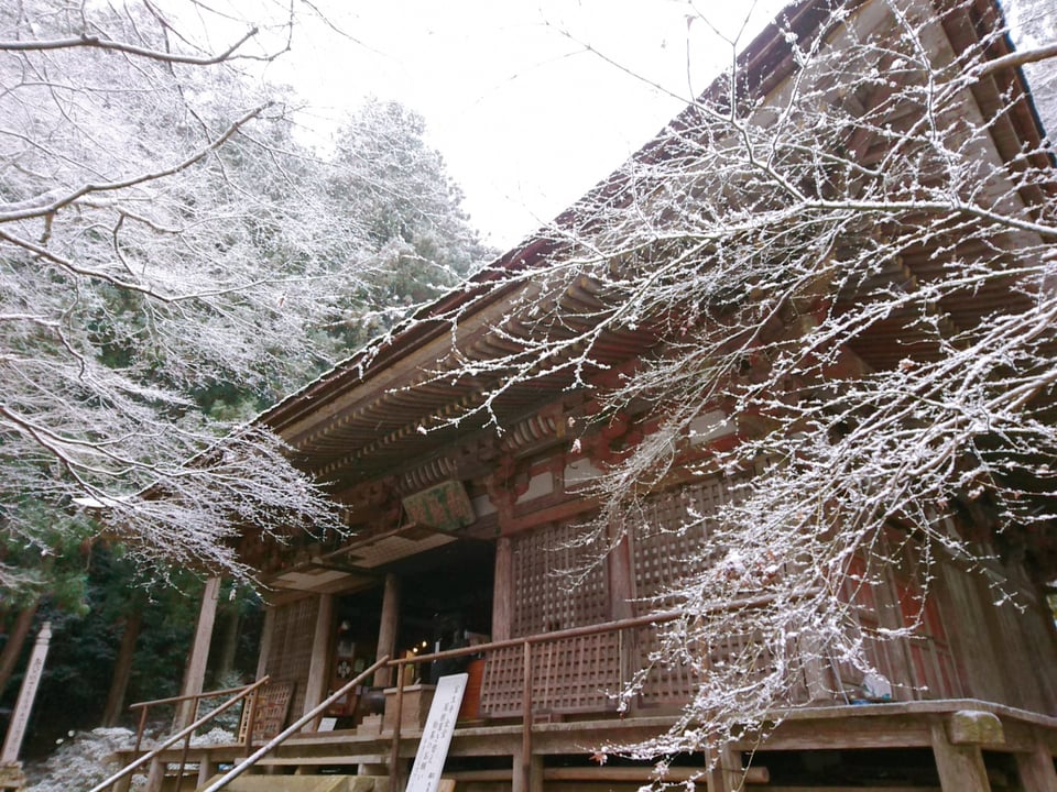雪の室生寺・本堂（2021,1）