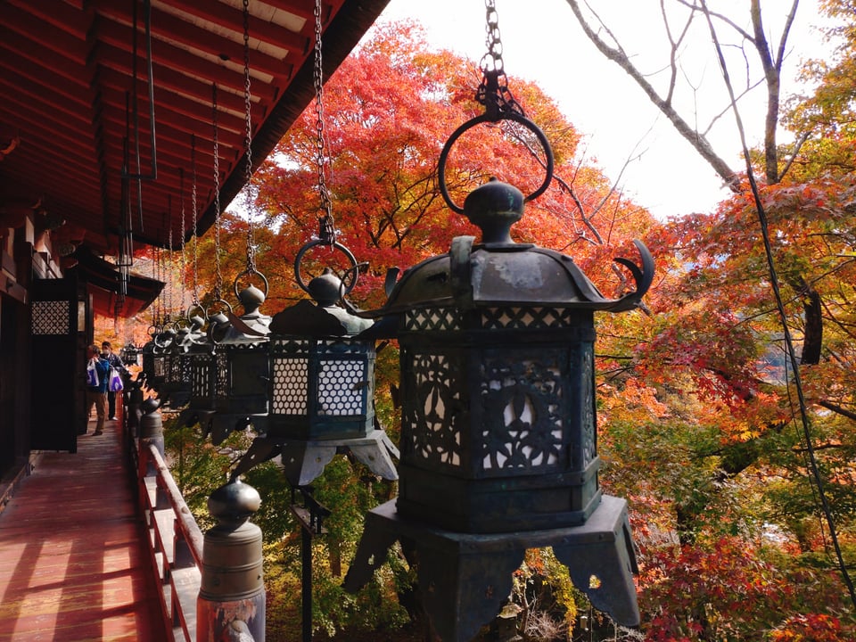 本堂から見た灯篭と紅葉