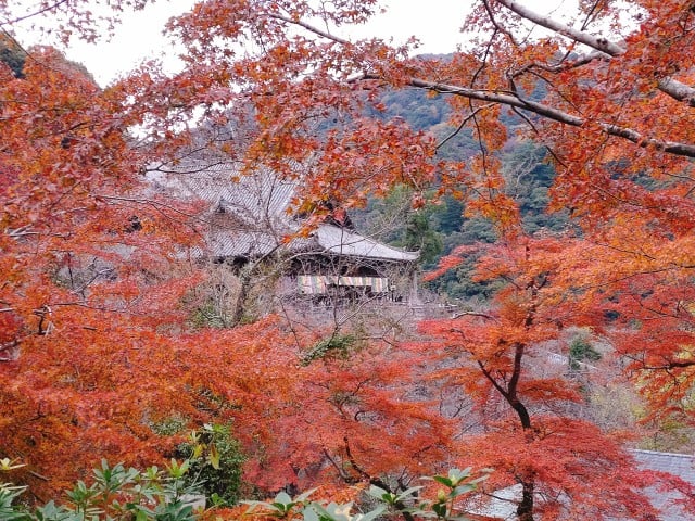 長谷寺・境内から見た本堂