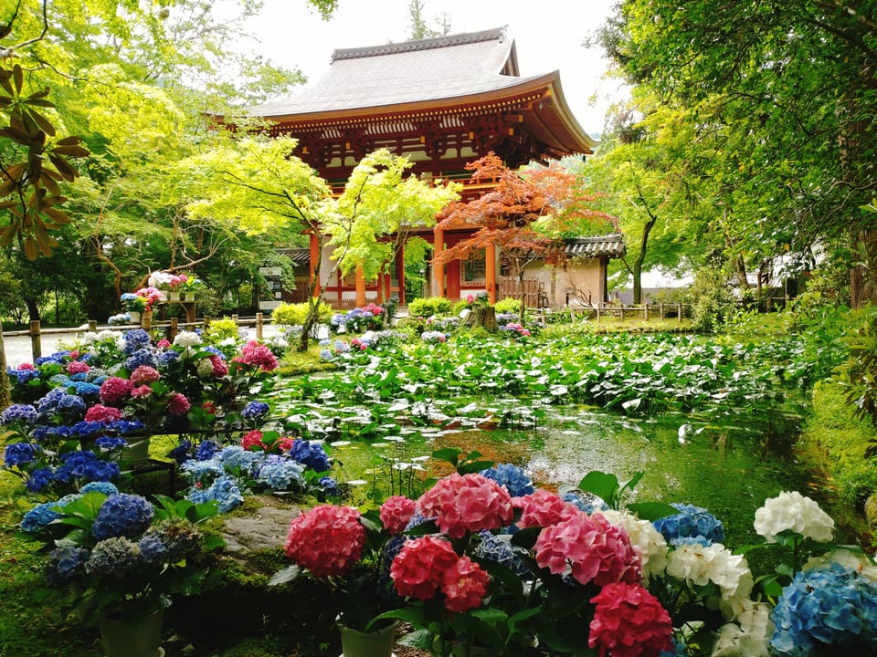 室生寺・あぢさゐ回廊