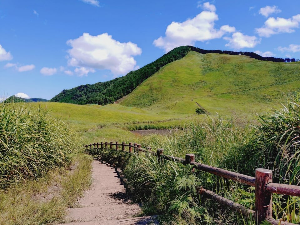 夏の曽爾高原②