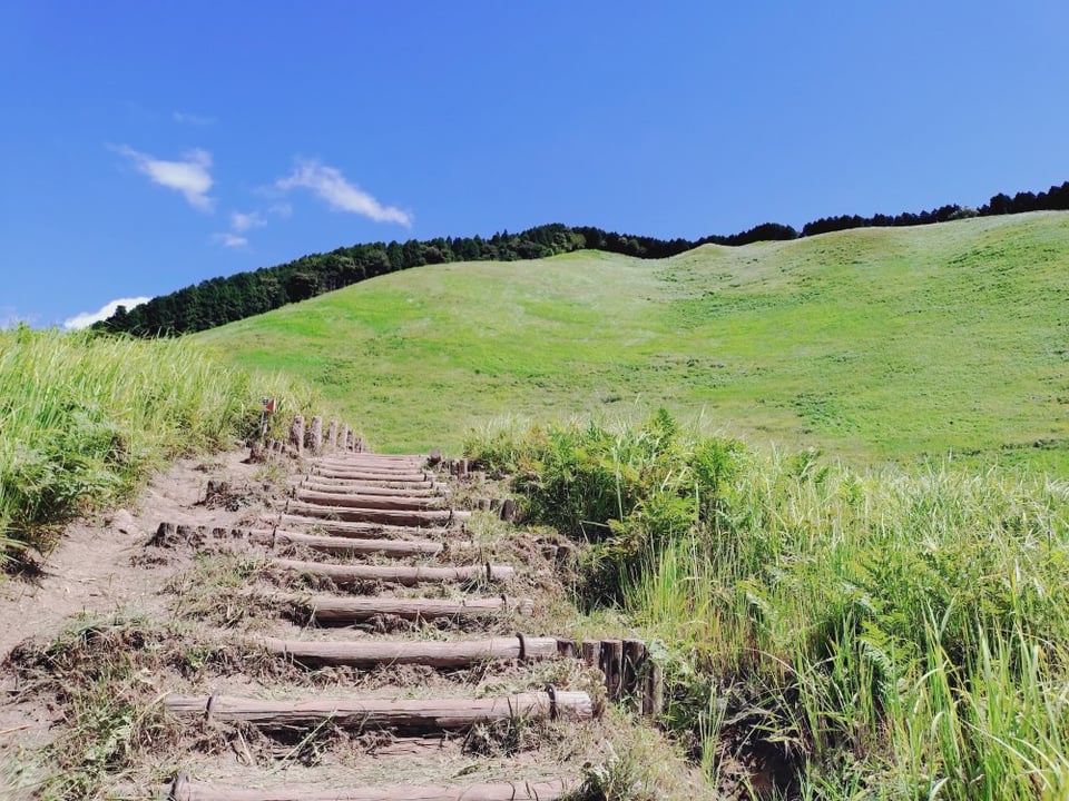 山に登る道も整備されております。スニーカーは必須です。