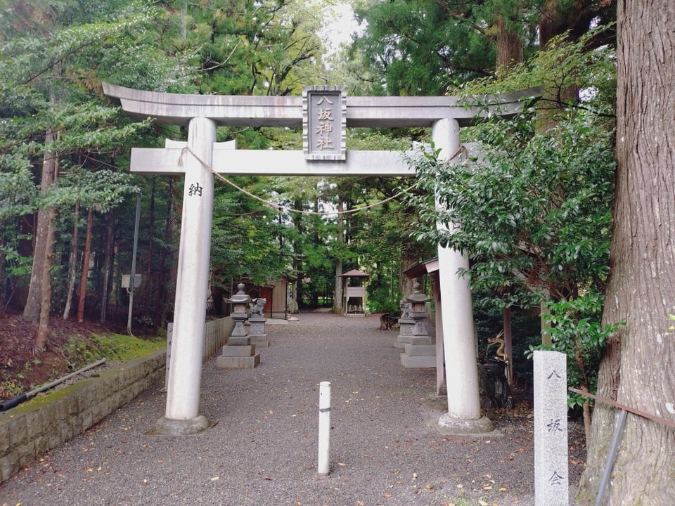 道の途中にある八坂神社。境内の杉の木が立派でした。