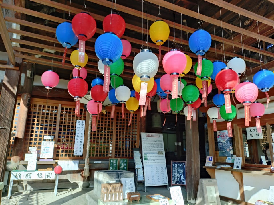 おふさ観音・バラと提灯まつり③（2025,11,10）