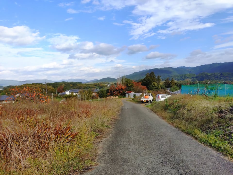 丘の上の小道①