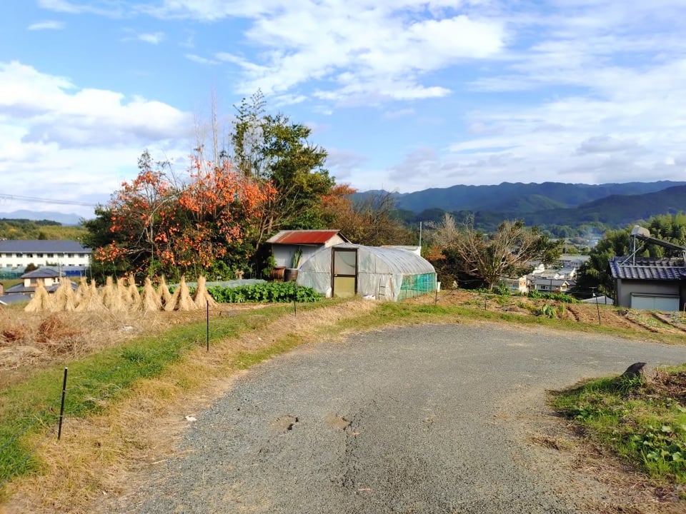 丘の上の小道②