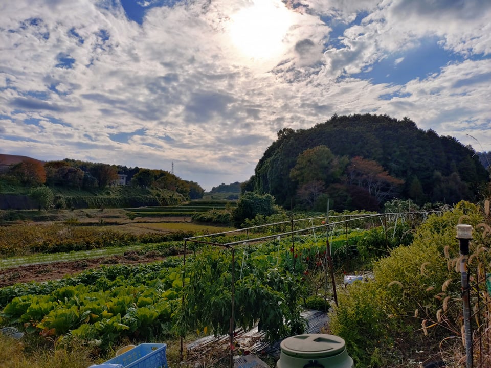 マルコ山古墳近くの田畑