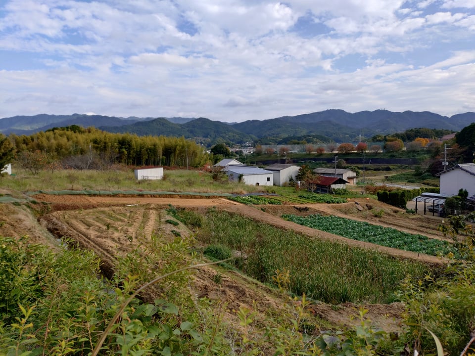 マルコ山古墳から見た明日香村の風景