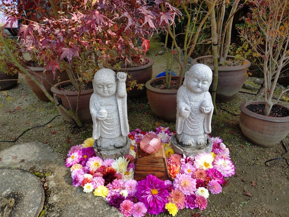 紅葉の中にダリアと小さなお地蔵さんも