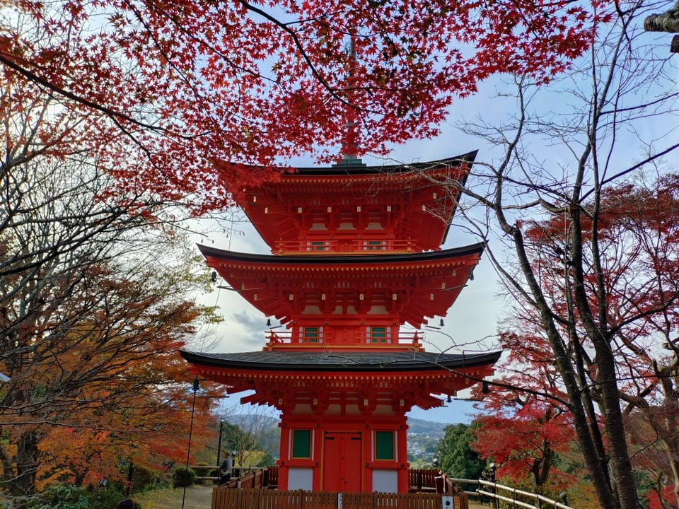 岡寺・紅葉と三重塔（2025,12,1撮影）