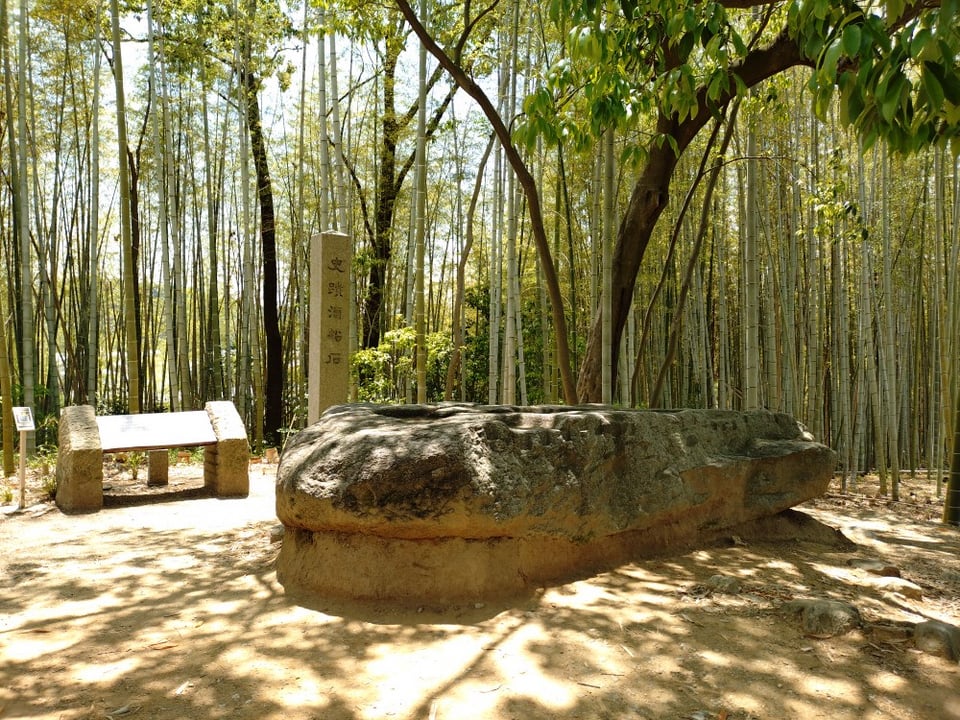 酒船石・全景。竹林に囲まれた丘の上にあります。