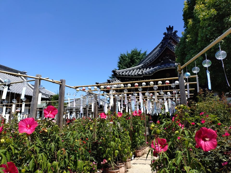 おふさ観音・風鈴まつり①
