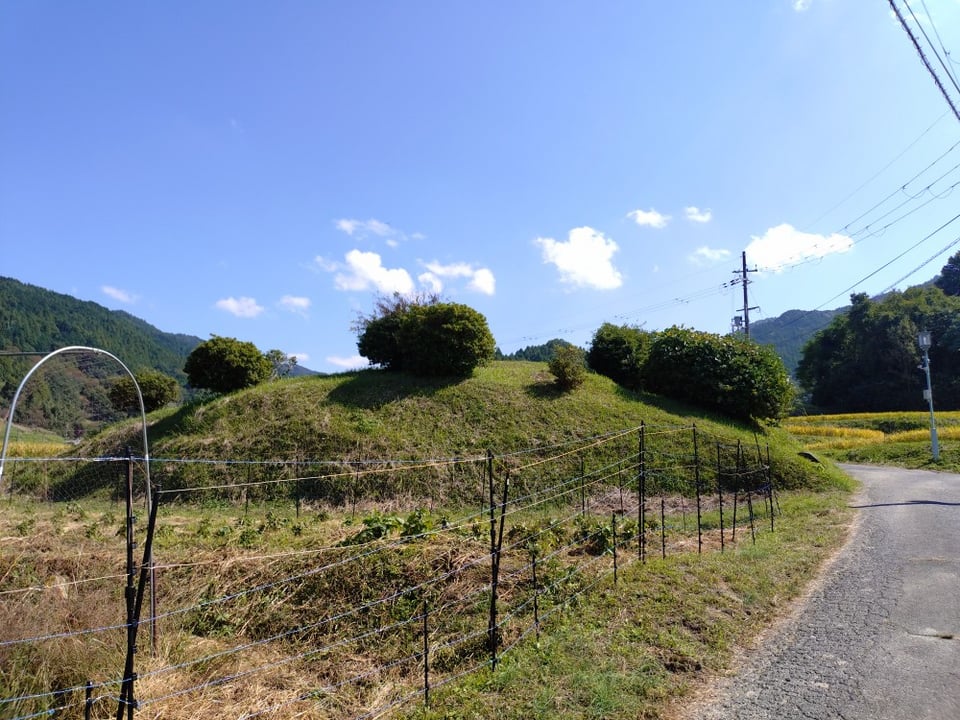 都塚古墳・全景