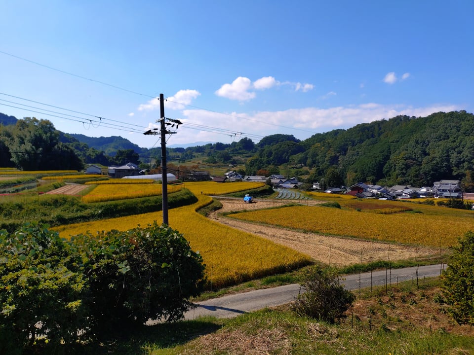 都塚古墳・墳丘の上から見た棚田。