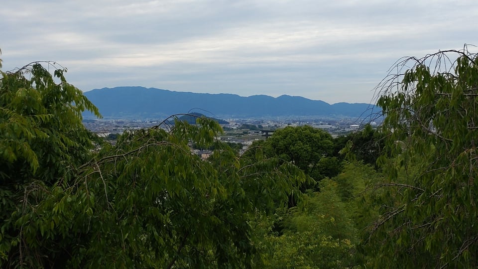 大神神社・大美和の杜展望台から見た大鳥居と耳成山（2024,5,30）
