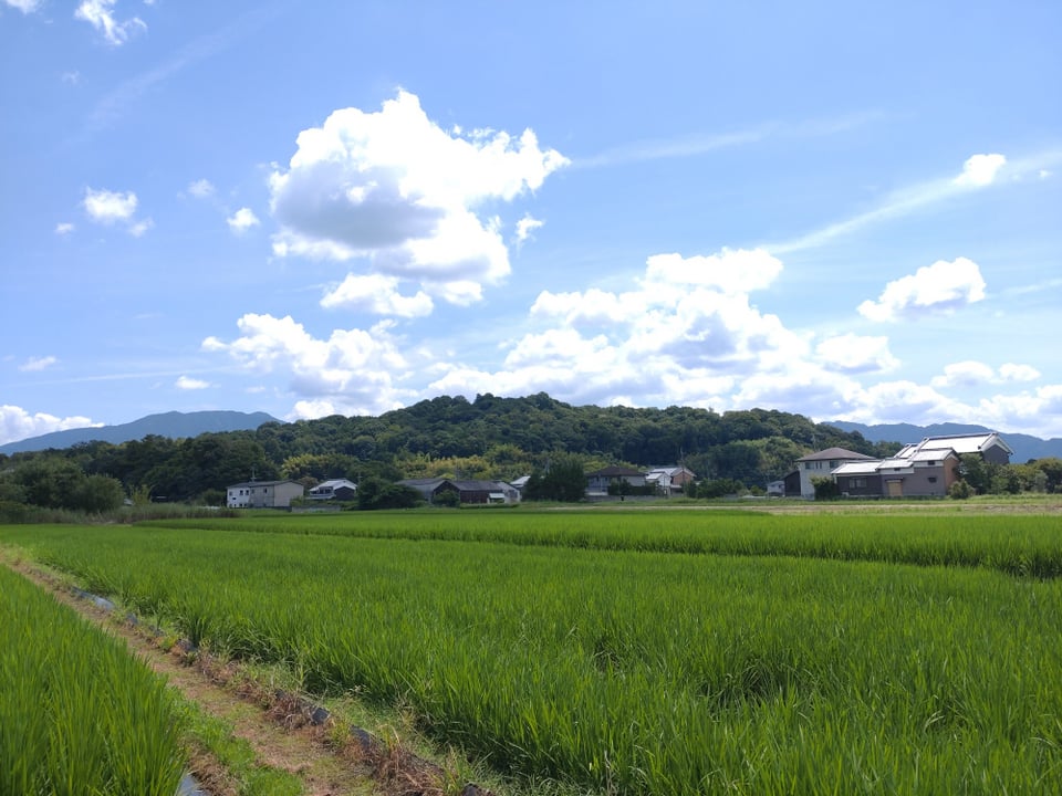 大和三山・香具山（橿原市）