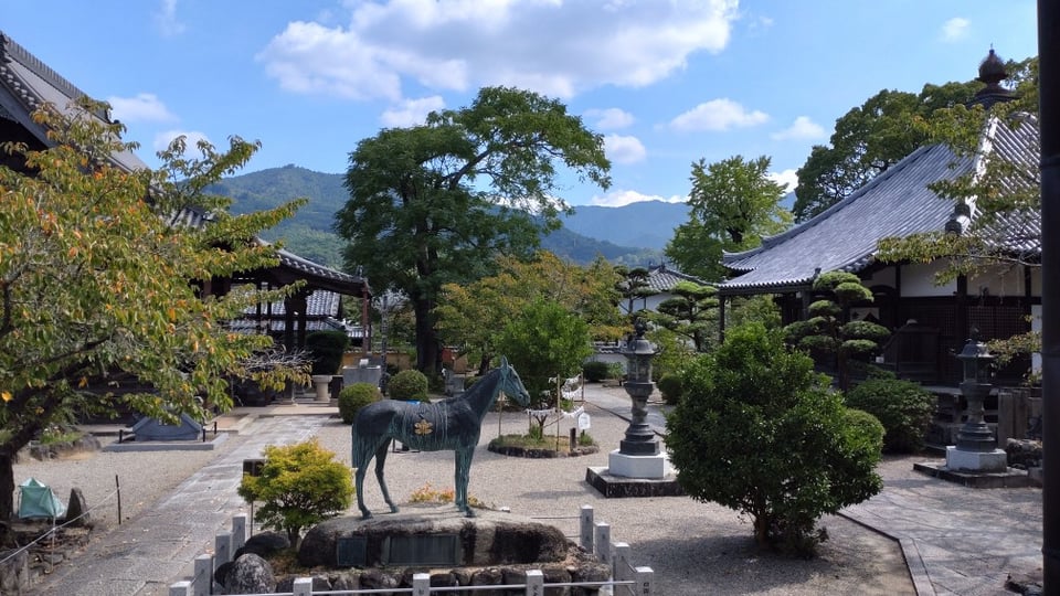 橘寺・本堂から見た境内（2024,10,1撮影）