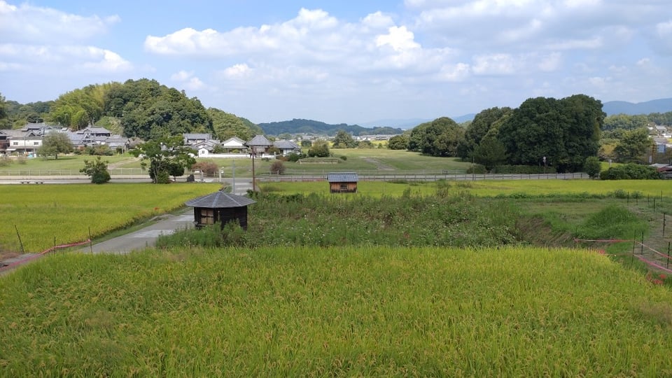 橘寺から見た川原寺跡（2024,10,1撮影）