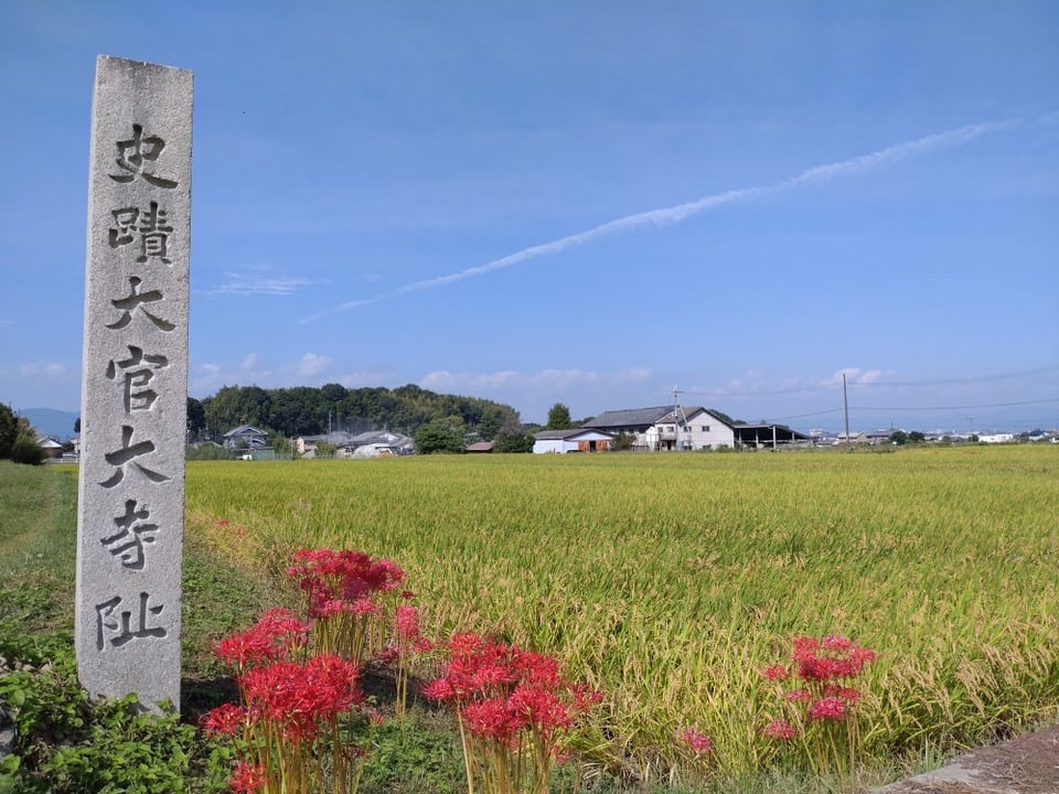 わずかな土壇が残るのみ。田園風景が綺麗です。
