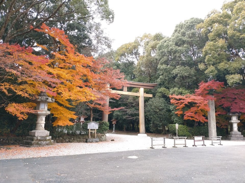 北門鳥居近くの鮮やかな紅葉