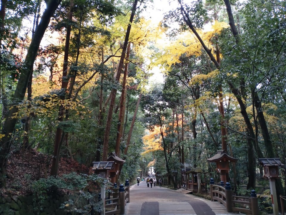 参道で見えた紅葉