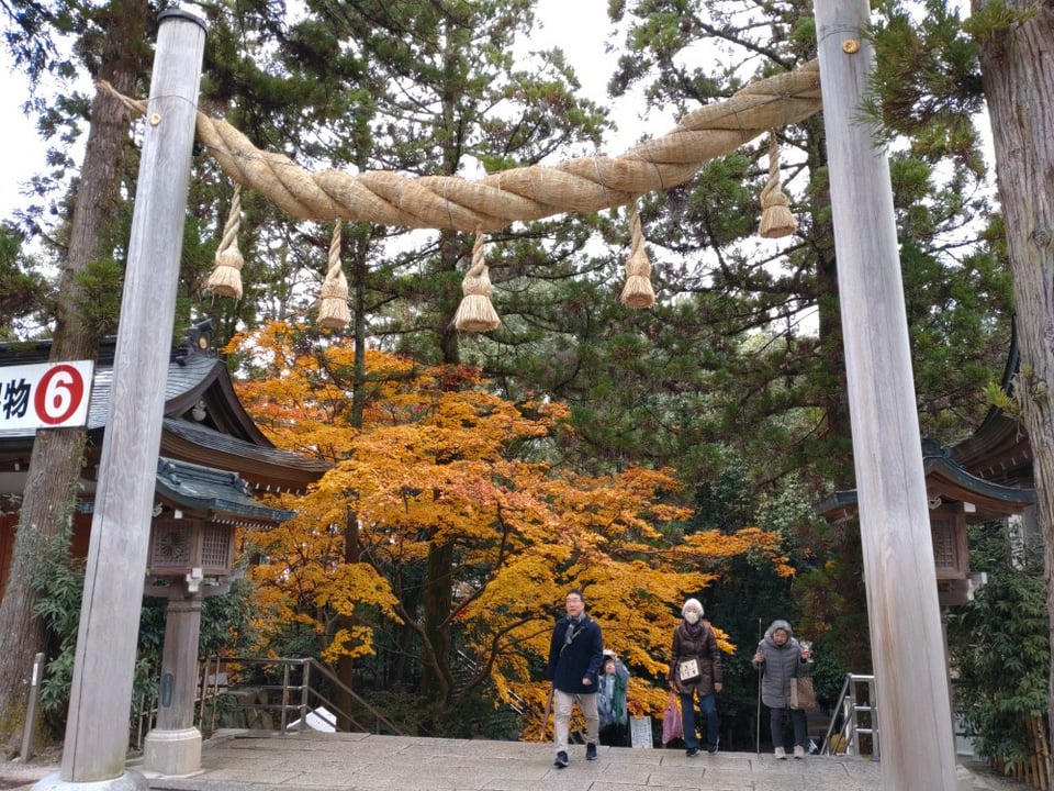 拝殿鳥居前の紅葉