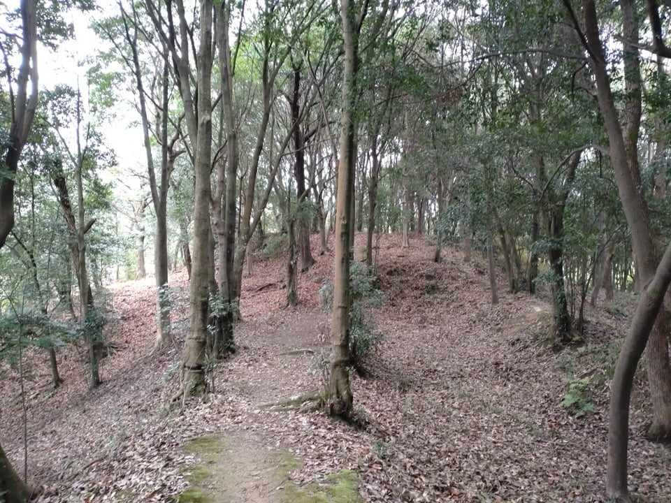 櫛山古墳・墳丘までの道