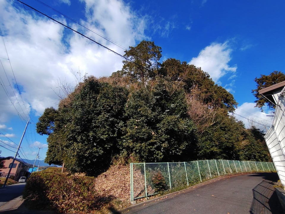 谷首古墳・全景