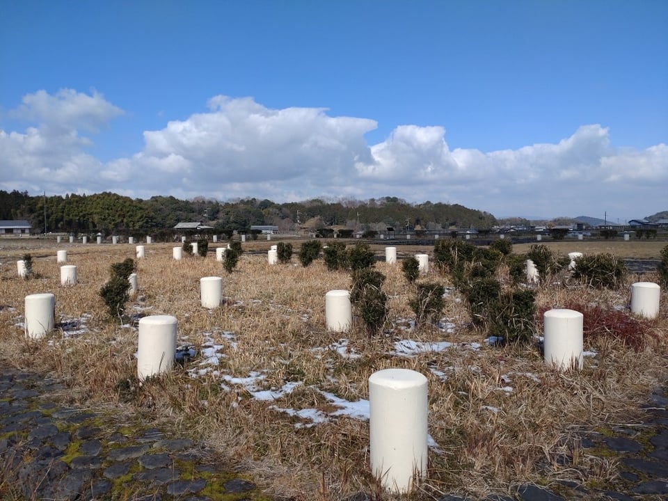 飛鳥京跡③（2025,2,25撮影）