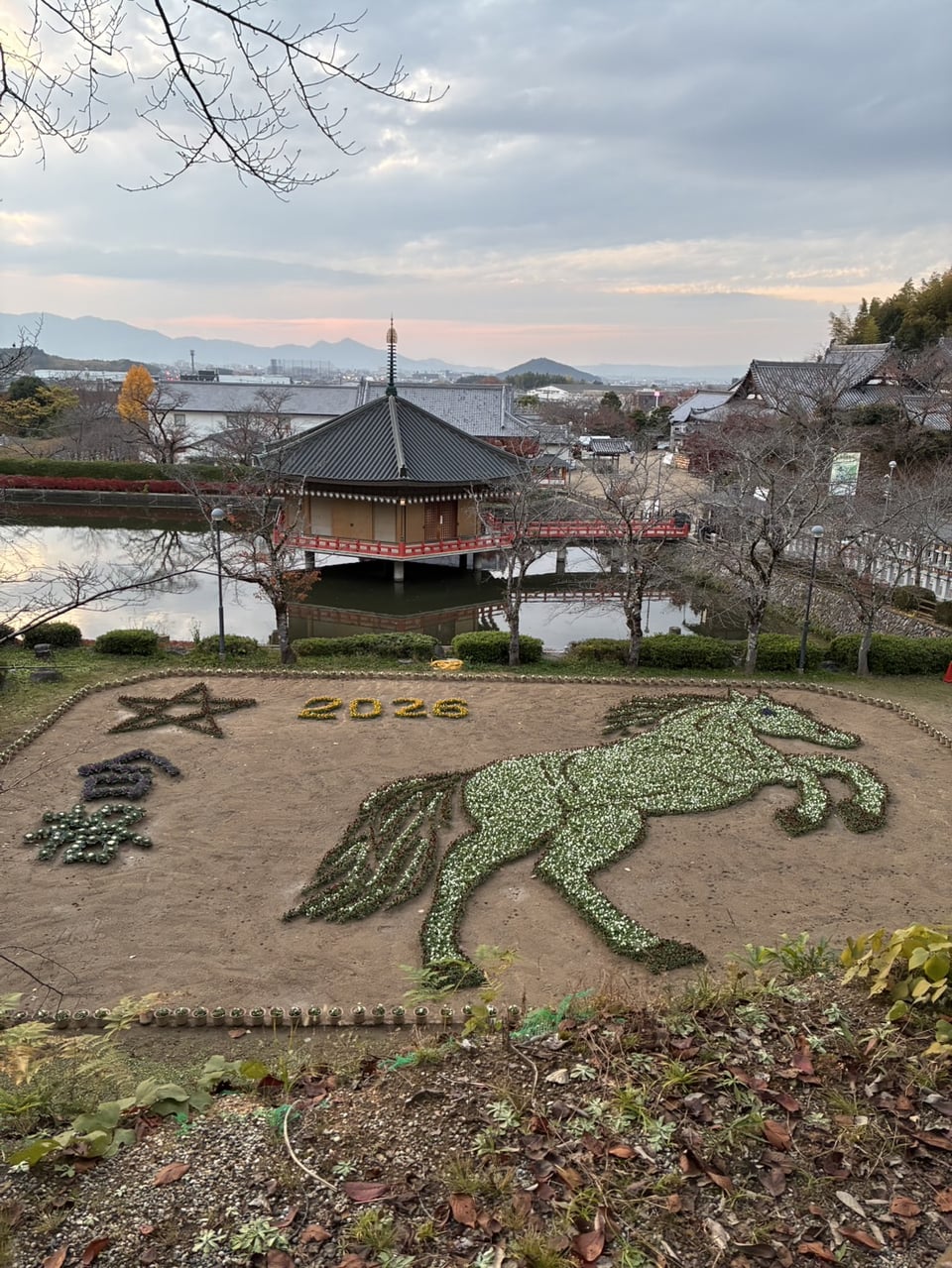 安倍文珠院・干支の花絵（2025,12,2）