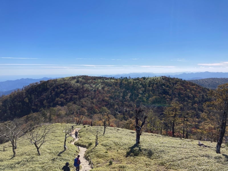 グレゴリー　パンフレット　30年　ハイライト　1977-2007  全18ページ グレゴリー パンフレット 30年 ハイライト 1977-2007 全18ページ